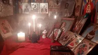 #ЖИВОТВОРЯЩИЯ # ЗАЩИТА#