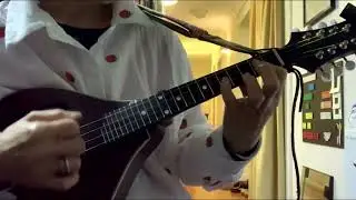 Original mandolin tune inspired by new strings (Thomastik light) - 4 string mandolin