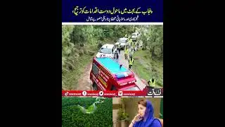 Environment-Friendly Budget Prioritized in Punjab: Historic Tree Plantation and Conservation Project
