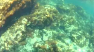 Plong&eacute;e Majorque HD