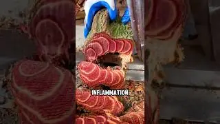 Not Meat! This Lookalike Is Actually a Powerful Chinese Medicinal Herb