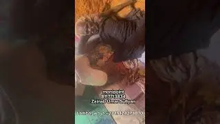 Ataimaka jama'a Dan Allah