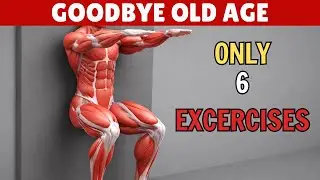 Over 50 6 Exercises to Transform Your Legs in Just 10 Minutes – No Gym Needed | Senior Health Tips