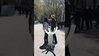 Central Park Proposal