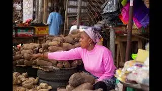 10 Profitable Crops You Can Grow in Nigeria with Little Capital | AgriSmart Africa