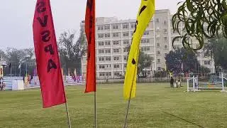 Annual sports meet at SVSPA ❤️ || ঘোড়ার প্রদর্শনী ❤️