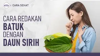 Rebusan Daun Sirih, Redakan Batuk Kering Hingga Berdahak | Hidup Sehat tvOne