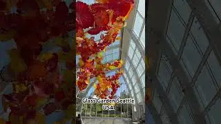 Glass garden Seattle Washington.