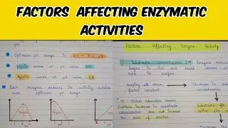 Enzymes | factors affecting enzyme activity | enzymes activity