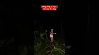 Penangkapan tuyul hidup2 oleh kang bontot #tuyul #viralvideo #trnding