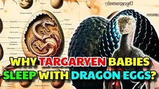 Dragon Eggs Anatomy &ndash; How Targaryens Hatch Dragon Eggs? Why Fossilized Dragons Shells So Valuable?
