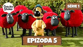 🐑 Ovečka Shaun - Shaun the Sheep | Sezóna 1|  Epizoda 05