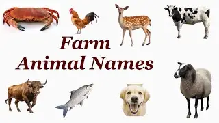 Farm Animal Names With Gauraansh l Farm Animal Names l Domestic Animals Names with Picture & Sound