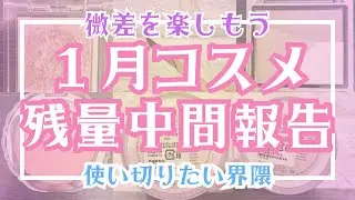 2026年1月コスメ残量中間報告～微差を楽しもう～