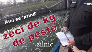 Pescuit si chilipiruri - S-a INTERZIS Pescuitul in Bucuresti?