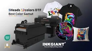 5-Head Printer Reaches 30㎡/h? How Auto Powder Recycling Is Changing the Game!