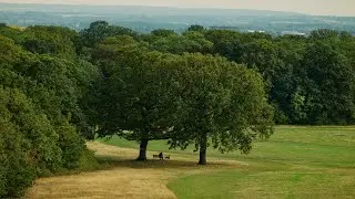 Blackmagic Micro Cinema Camera (BMMCC) | Oxleas Wood, London 2025