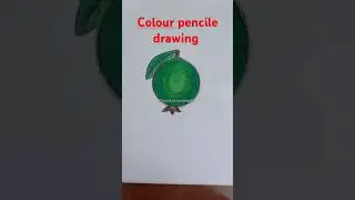 Guava drawing #shorts drawing #art #fruit