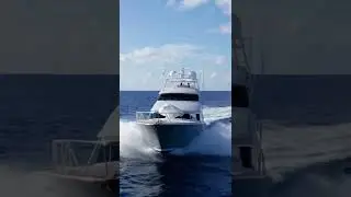 94' Sea Force #shorts #sportfishing