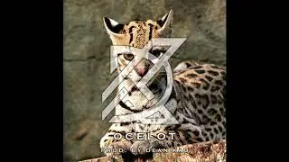 [FREE] House/Dance/Electro Beat - Ocelot Prod. By Dean Kau