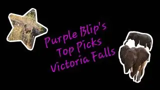 Purple Blip's Top Picks: Victoria Falls