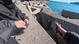 唐揚げにしたらおいしい魚を狙い、穴釣りへ行きました