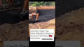 VIRAL !!! KEKAYAN INDONESIA #viral #indonesia #batubara #tambang #shortsfeed