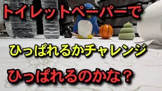 トイレットペーパーチャレンジ、ひっぱれるのかな？