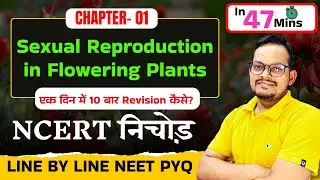 Sexual Reproduction in Flowering Plants | NCERT निचोड़ | 1 Day में 10 बार Revision | NEET 2026