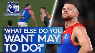 Panel divided over whether Steven May will cop weeks for brutal collision - Sunday Footy Show