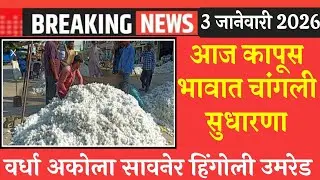 3 जानेवारी | आजचे कापूस बाजारभाव | kapus bajar bhav today | cotton rate today | कापूस बाजार भाव 
