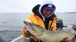 Angeln auf Hechte im Winter - EISZEIT AUF R&Uuml;GEN 2017