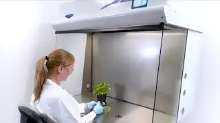 Nexus&trade; Horizontal Clean Bench
