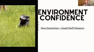 Dog Behaviour Trainer Coventry &diams; Professional Puppy Classes 121 Training - Puppy Socialisation