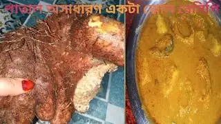এরকম পাঠা আলুর ঝোল খেলে গোস খাওয়ার কথা ভুলে যাবেন 