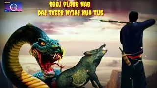 Huab tai nab daj thiab yawg nyiaj hua rooj plaub 13/6/2022