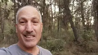 The magic of regenerative forestry and agriculture 🌲🌳🌴🌵🌄🏞️