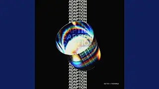 Adaption