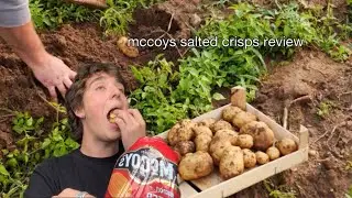 McCoys Salted Crisps Review