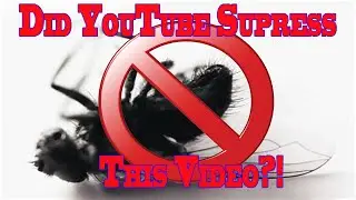 Proof? YouTube Lying About Views?!