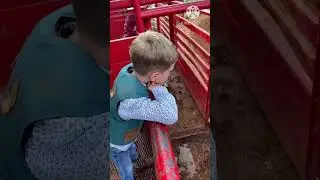 Mutton Bustin! #muttonbustin  #sheep #rodeo #shorts #viral  #viralvideo   #funnyvideo #shortsvideo