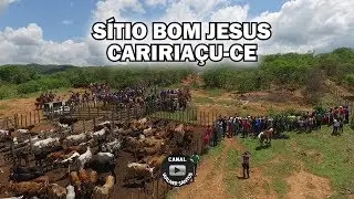 NA PEGA DE BOI DA FAZENDA BOM JESUS  - PARTE 2