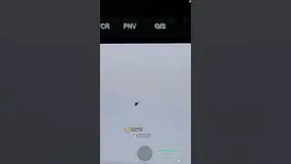Rapid Assault Warfare Discord  