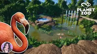 South American Habitat for American Flamingo | Planet Zoo | Sandbox Mode
