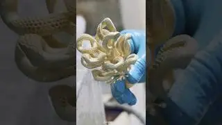 Casting Process | Gold jewelry | cuban part | Gold tree #shivaay_jewels #craftsmanship
