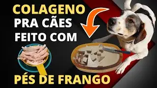 Como  FAZER COLAGENO para CACHORROS 100% Natural FEITO com PÉS de FRANGO