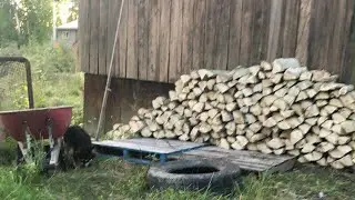 Preparing wood for winter time in Summer Beaver Ontario