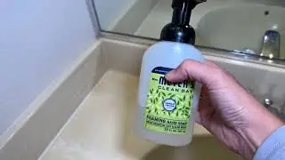 MRS  MEYER'S CLEAN DAY Hand Soap, Made with Essential Oils, Biodegradable Formula Review