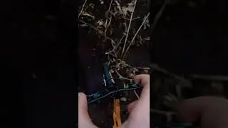 Finger biking ￼
