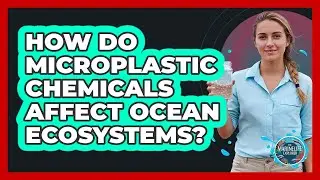 How Do Microplastic Chemicals Affect Ocean Ecosystems?